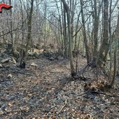 Cuorgnè, fa un falò per bruciare i rami e dà fuoco al bosco: denunciato dai Carabinieri