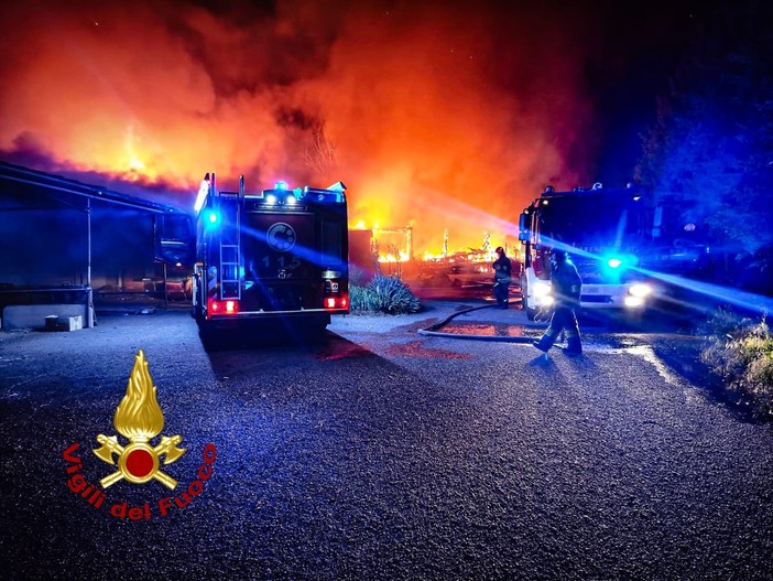 Una immagine del rogo che si è sviluppato nella zona di via Crea a Grugliasco