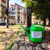 Un innaffiatoio di quartiere in Largo Montebello: la risposta di Vanchiglia alla grande siccità Un innaffiatoio di quartiere in Largo Montebello: la risposta di Vanchiglia alla grande siccità