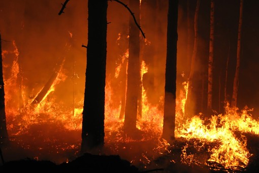 Il Piemonte da due mesi combatte contro gli incendi boschivi