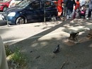 Incidente ai danni di un anziano Incidente ai danni di un anziano