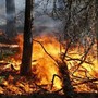 Incendi boschivi, rinnovata la convenzione per la tutela tra Regione e Forestale Incendi boschivi, rinnovata la convenzione per la tutela tra Regione e Forestale