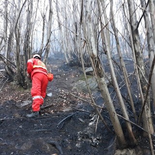 Cessa l'emergenza per gli incendi boschivi Cessa l'emergenza per gli incendi boschivi