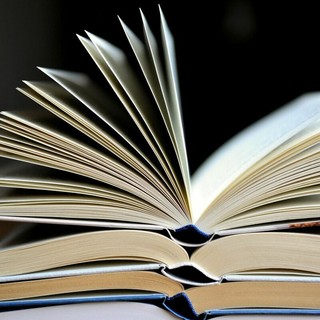 I libri più letti del 2025