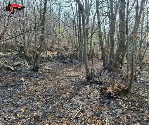 Cuorgnè, fa un falò per bruciare i rami e dà fuoco al bosco: denunciato dai Carabinieri