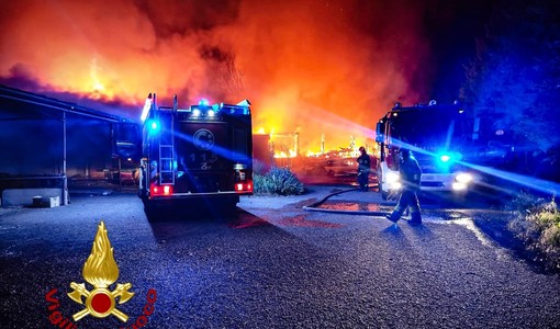 Una immagine del rogo che si è sviluppato nella zona di via Crea a Grugliasco
