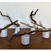 The Pigeon Paradox: a Paratissima il progetto artistico a sostegno di Fondazione Paideia