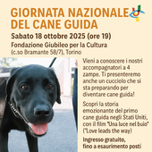 La locandina della giornata