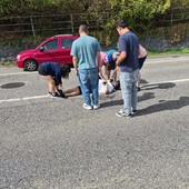 Incidente in triciclo durante il suo viaggio verso Strasburgo per il consigliere Catanzaro Incidente in triciclo durante il suo viaggio verso Strasburgo per il consigliere Catanzaro