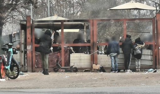 Spaccio da Nord a Sud, blitz nei parchi di Torino: due arresti tra Parco Sempione e Mennea Spaccio da Nord a Sud, blitz nei parchi di Torino: due arresti tra Parco Sempione e Mennea