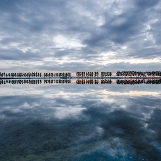 Wiki Loves Monuments Piemonte: torna il concorso fotografico per valorizzare il patrimonio italiano
