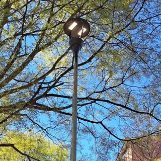 Nuova luce su piazza Chiaves, completato l’impianto nel giardino Scafidi