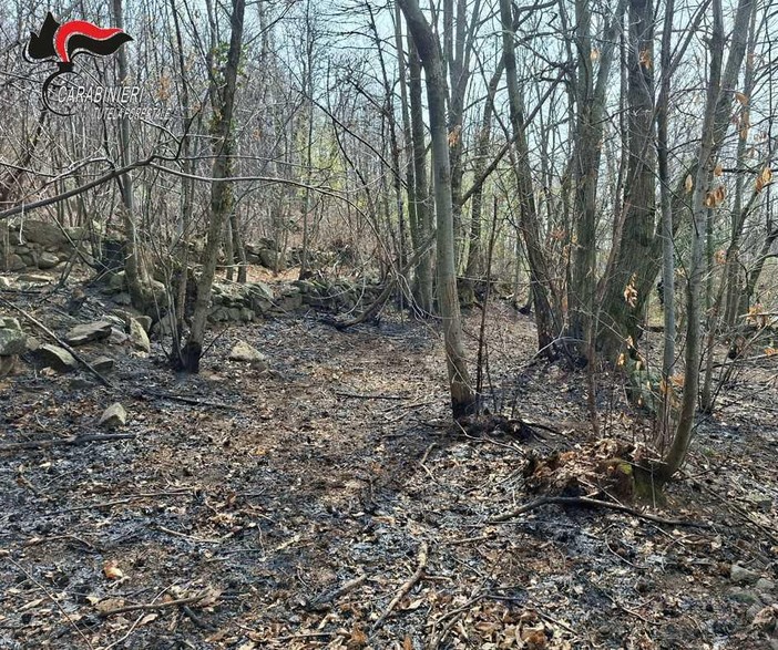 Cuorgnè, fa un falò per bruciare i rami e dà fuoco al bosco: denunciato dai Carabinieri