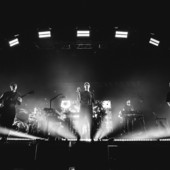 I cani in concerto al Flowers Festival di Collegno