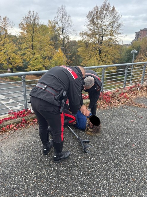 Intervento delle forze dell'ordine per evitare il peggio Intervento delle forze dell'ordine per evitare il peggio