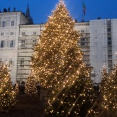 accensione albero natale