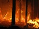 La Regione revoca lo stato di massima pericolosità di incendi boschivi
