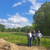 Proseguono gli interventi di riqualificazione del Parco del Sabiunè Proseguono gli interventi di riqualificazione del Parco del Sabiunè