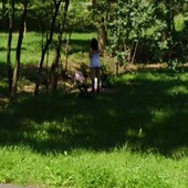 Foto ripresa dentro il parco pubblico I Tronchi