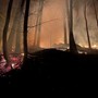 Incendi boschivi, la Regione Piemonte approva le linee guida per i piani di prevenzione territoriali