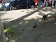 Incidente ai danni di un anziano