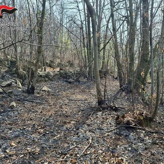 Cuorgnè, fa un falò per bruciare i rami e dà fuoco al bosco: denunciato dai Carabinieri