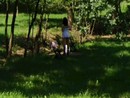 Foto ripresa dentro il parco pubblico I Tronchi