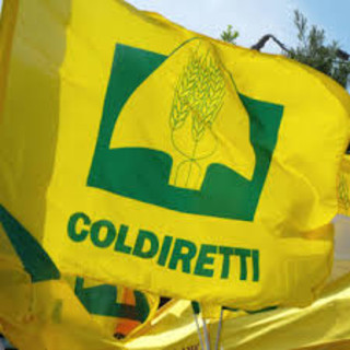 Coldiretti Piemonte: &quot;Serve rafforzare la Pac”