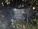 L'auto finita in mezzo agli alberi dopo l'incidente L'auto finita in mezzo agli alberi dopo l'incidente