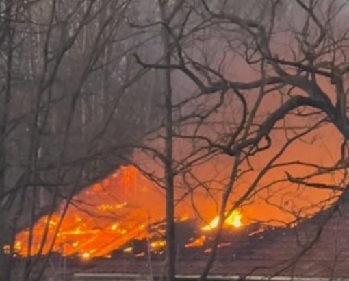 Momenti di paura a Nichelino per un incendio al Boschetto