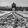 Grugliasco, Promemoria Auschwitz: al via le iscrizioni