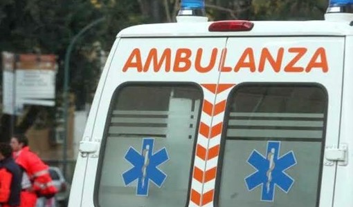 Giovane investita da un autobus in via San Donato: è grave Giovane investita da un autobus in via San Donato: è grave