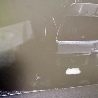 Incivili 'pizzicati' e multati dalla Polizia locale di Beinasco