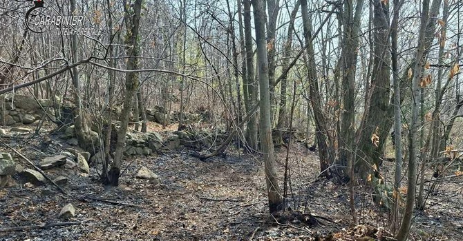Cuorgnè, fa un falò per bruciare i rami e dà fuoco al bosco: denunciato dai Carabinieri