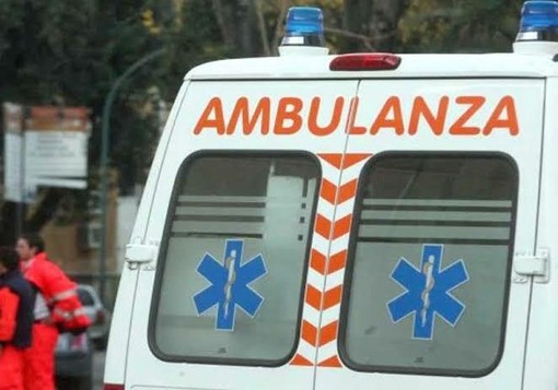 Giovane investita da un autobus in via San Donato: è grave Giovane investita da un autobus in via San Donato: è grave