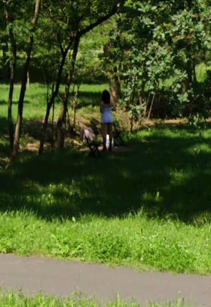 Foto ripresa dentro il parco pubblico I Tronchi Foto ripresa dentro il parco pubblico I Tronchi