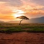 Kenya tra safari e mare: il viaggio che alterna natura, costa e grandi emozioni