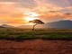 Kenya tra safari e mare: il viaggio che alterna natura, costa e grandi emozioni