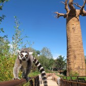 Immagine d'archivio Immagine d'archivio