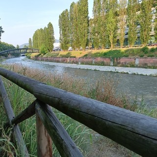 Meno auto e più alberi: parte il test per un Lungo Dora pedonale e verde Meno auto e più alberi: parte il test per un Lungo Dora pedonale e verde