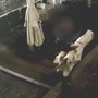 Ladro seriale di ombrelloni in azione in piazza Savoia