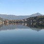 Avigliana, tartarughe infette nel Lago Grande: rischio Salmonella per l’uomo