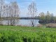 Iniziativa a Falchera legata alla natura