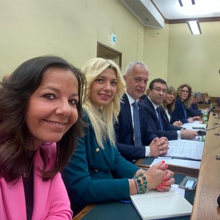 leghisti commissione vigilanza rai