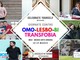 Tre incontri dedicati alla Giornata Internazionale contro L'Omo-Lesbo-Bi-Transfobia