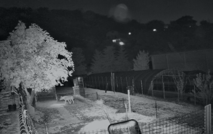 Un fermo immagine delle riprese effettuate dalle telecamere di sicurezza