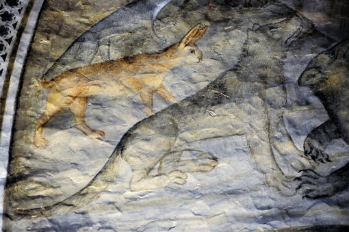 Precettoria di Ranverso: una visita narrata e una conferenza sulla storia e natura del lupo