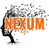 Nexum, logo ufficiale dell'A.P.S. e progetto grafico di Appino Martina