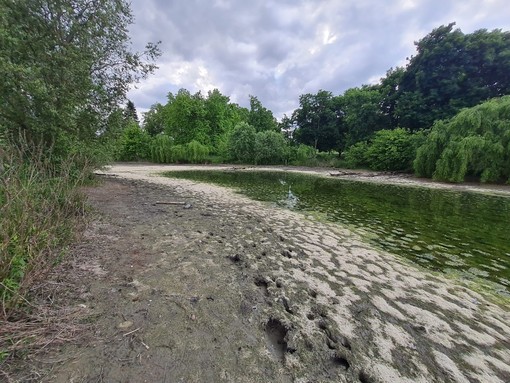 Guasto alla pompa, in secco lo stagno della Pellerina: &quot;Pesci e animali in sofferenza&quot;