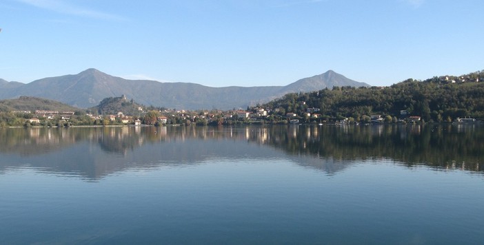 Avigliana, tartarughe infette nel Lago Grande: rischio Salmonella per l’uomo